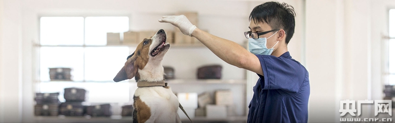 广药研究总院“国家犬类实验动物资源库”入选国家科技资源共享服务平台